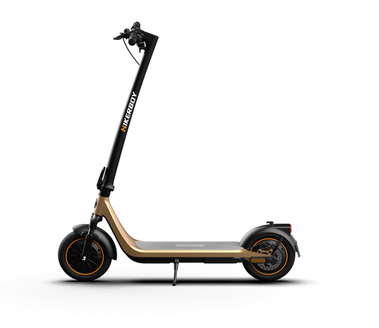 Curtis Dual Electric Scooter