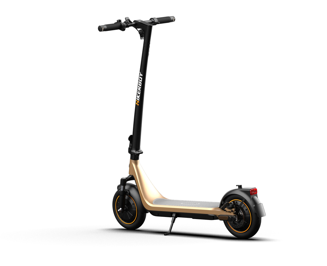 Curtis Dual Electric Scooter