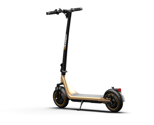 Curtis Dual Electric Scooter