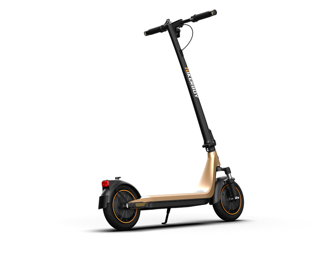 Curtis Dual Electric Scooter