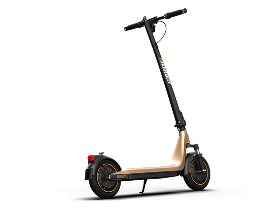 Curtis Dual Electric Scooter