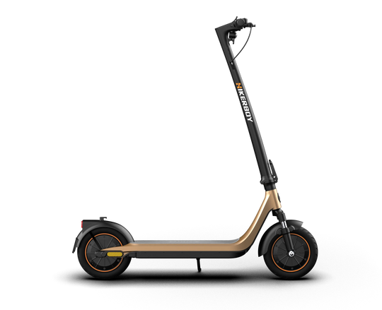 Curtis Dual Electric Scooter