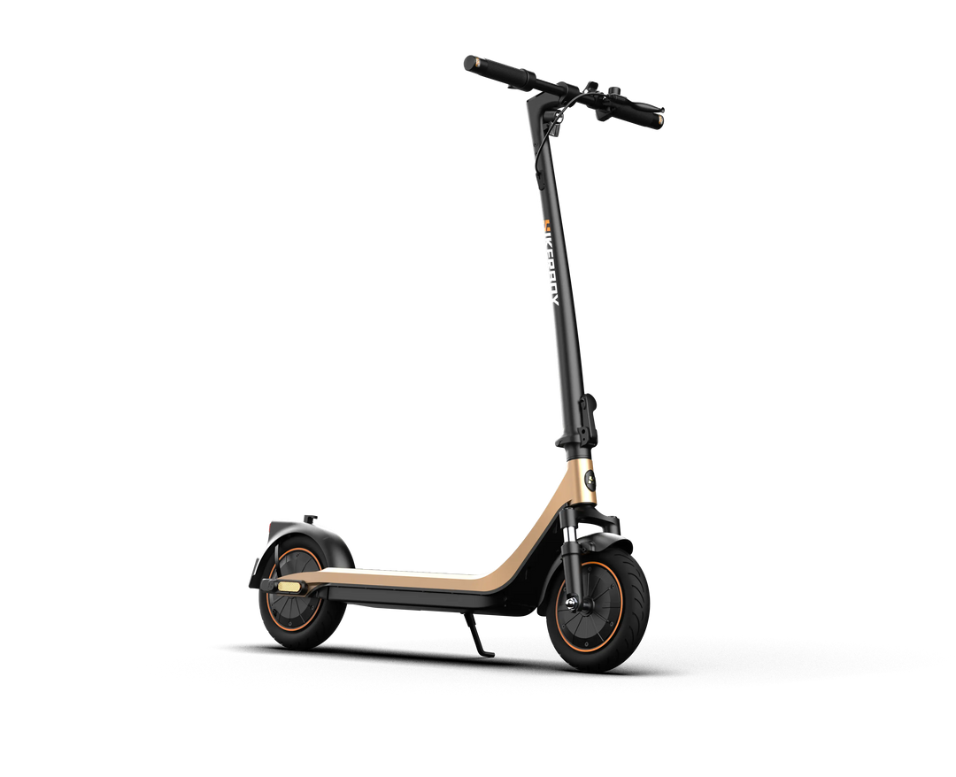 Curtis Dual Electric Scooter