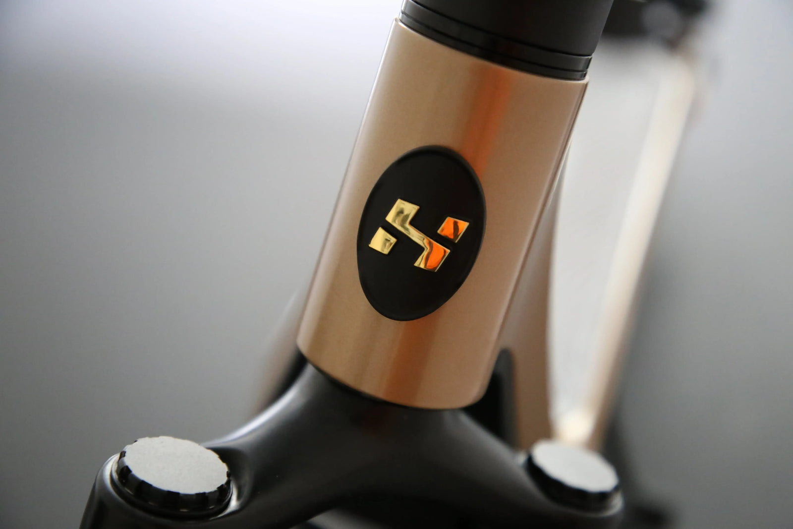 Curtis Dual Electric Scooter