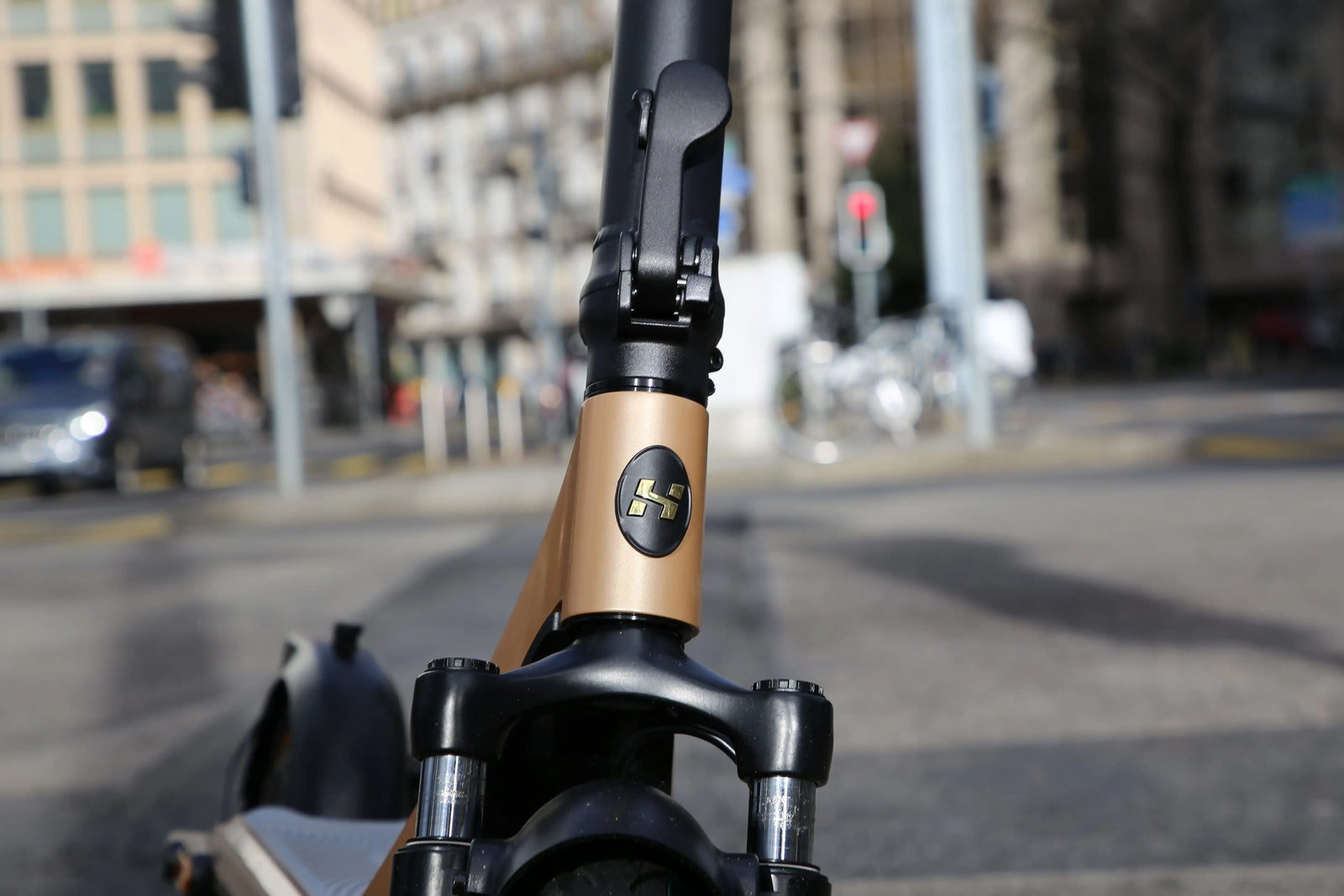 Curtis Dual Electric Scooter