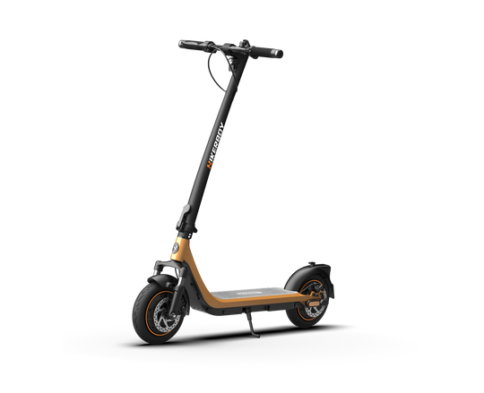 CURTIS Dual Hikerboy Scooter