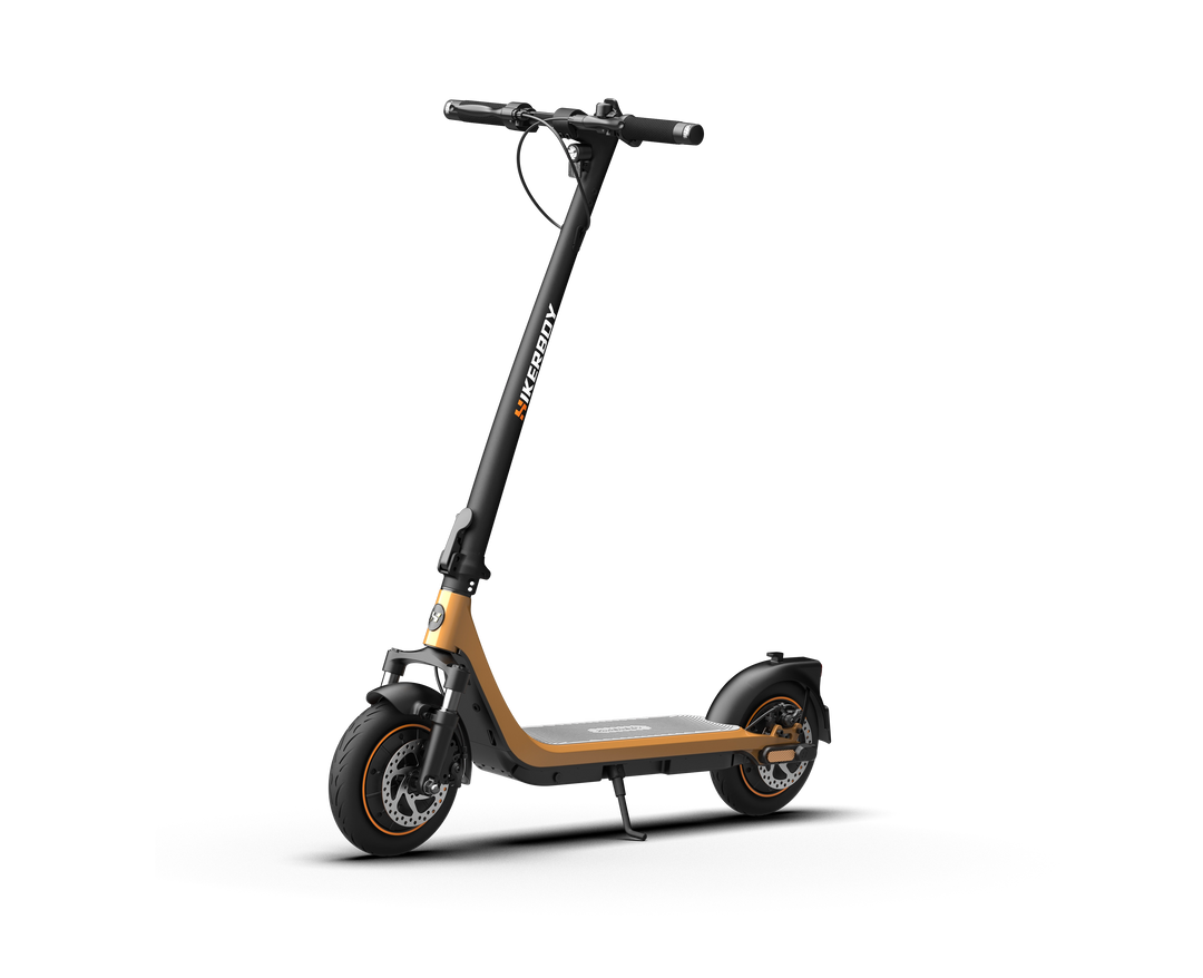 CURTIS Dual Hikerboy Scooter