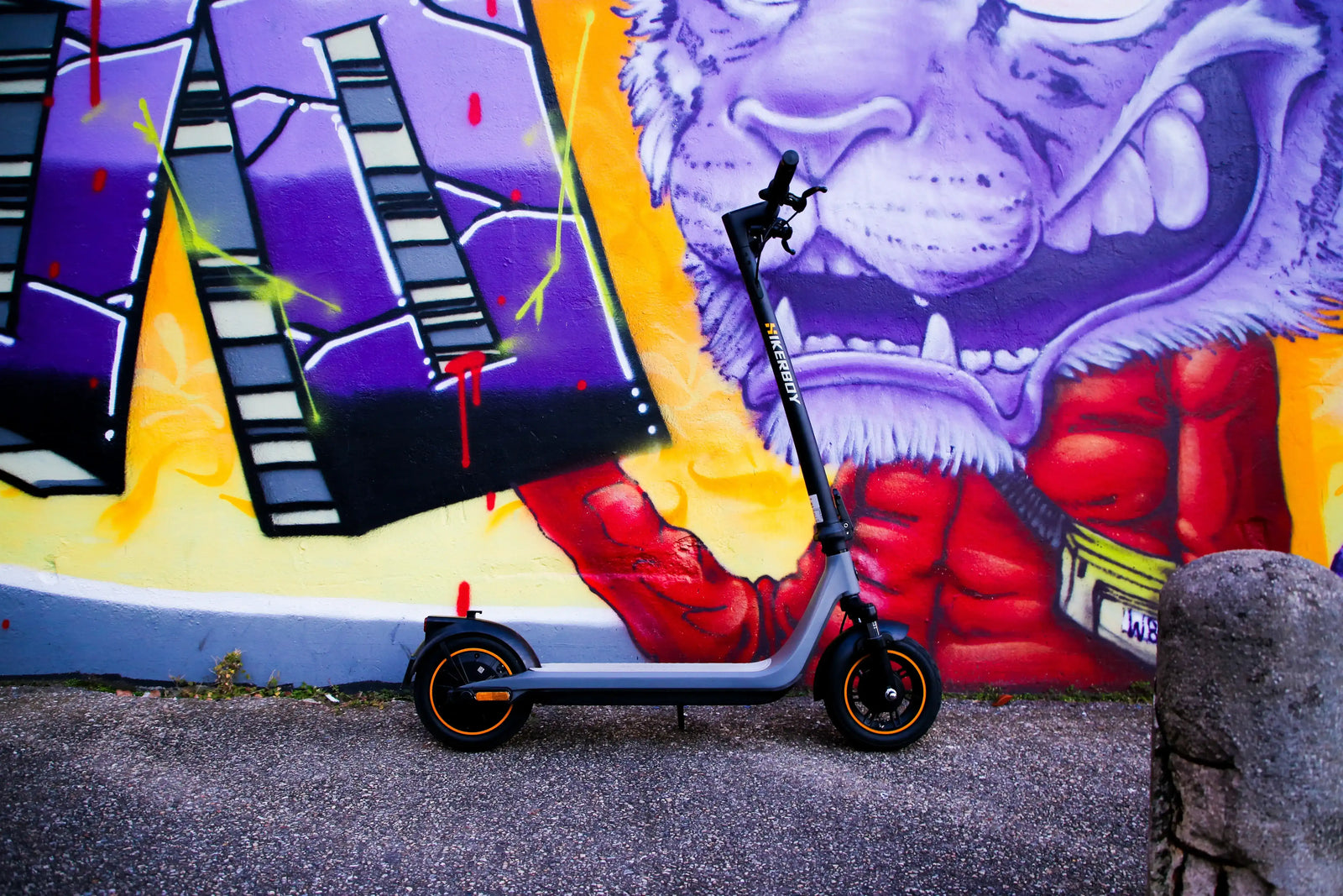 Curtis Plus Electric Scooter